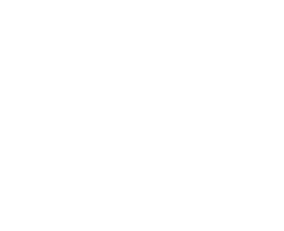 Dragon T-shirt Design